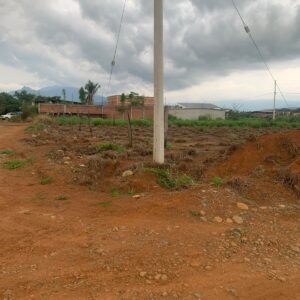 6 lotes juntos (8x20mt) San Roque1