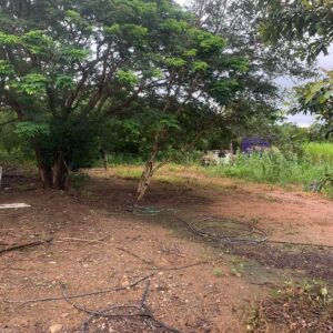 4 lotes (10x40mts) juntos o separados (Carr a Autlan2)