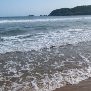 LOTE PUNTA PERULA